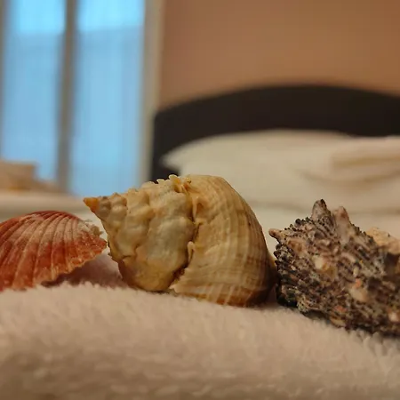 Casa Dora 5 Terre Close To Trains And Ferries With Ac - Wi-fi La Spezia